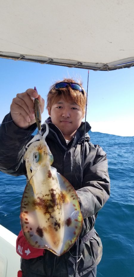 ソルトウォーターガイドフレンズ 釣果