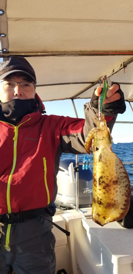 ソルトウォーターガイドフレンズ 釣果