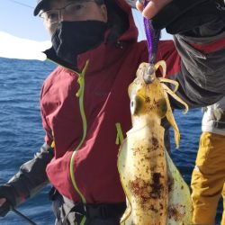 ソルトウォーターガイドフレンズ 釣果