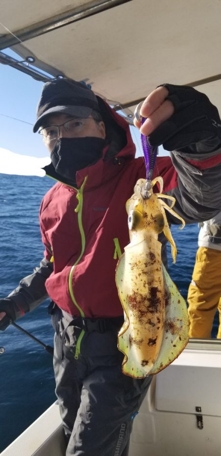 ソルトウォーターガイドフレンズ 釣果