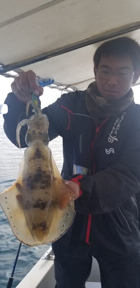 ソルトウォーターガイドフレンズ 釣果