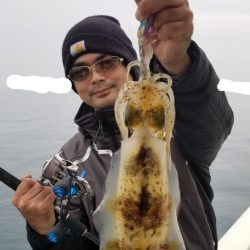 ソルトウォーターガイドフレンズ 釣果