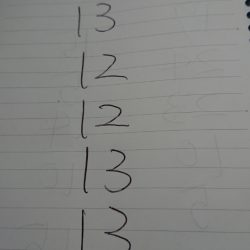 金沢八景鴨下丸 釣果