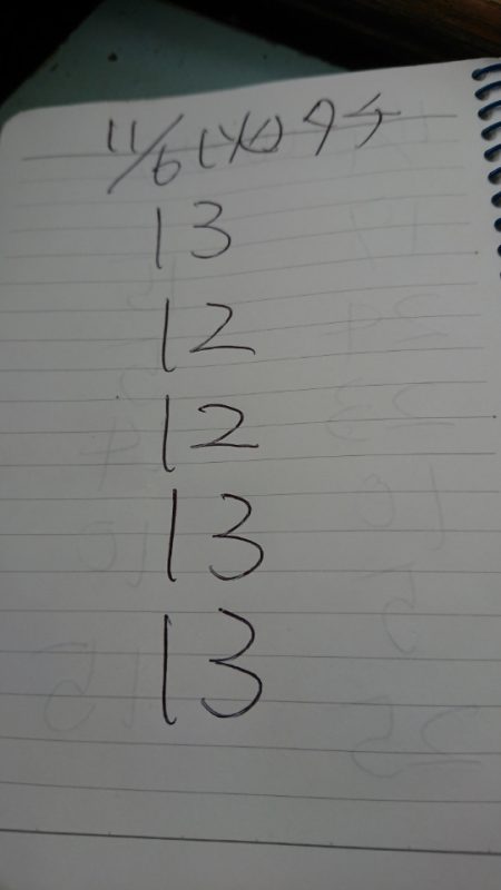 金沢八景鴨下丸 釣果