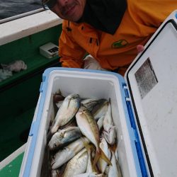 金沢八景鴨下丸 釣果