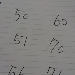 金沢八景鴨下丸 釣果