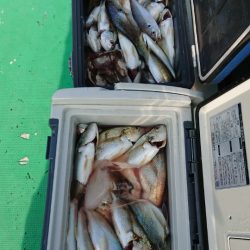 金沢八景鴨下丸 釣果