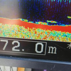 タイラバ遊漁船 ワンピース 釣果