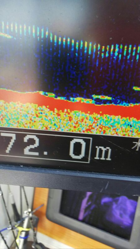 タイラバ遊漁船 ワンピース 釣果