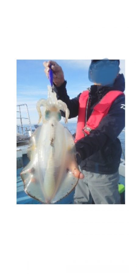 シースナイパー海龍 釣果