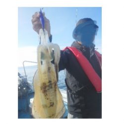 シースナイパー海龍 釣果