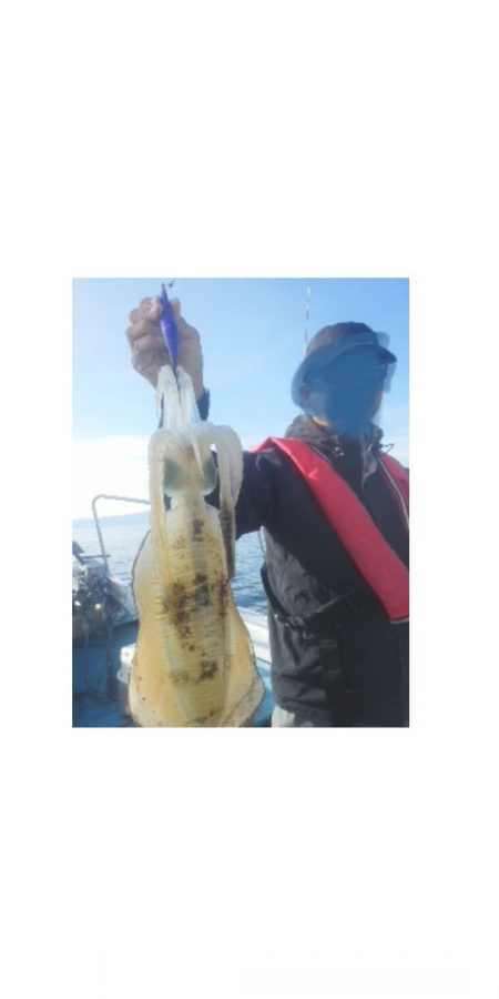 シースナイパー海龍 釣果