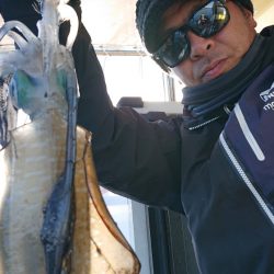 シースナイパー海龍 釣果