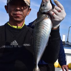 渡船屋たにぐち 釣果