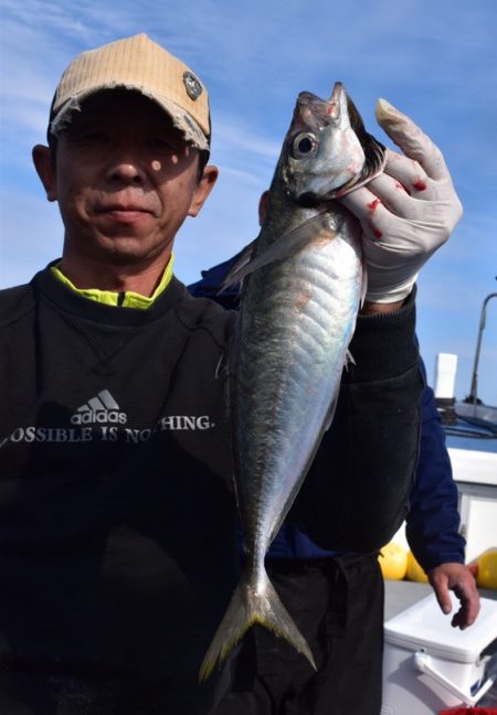 渡船屋たにぐち 釣果
