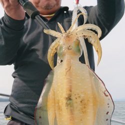 シースナイパー海龍 釣果
