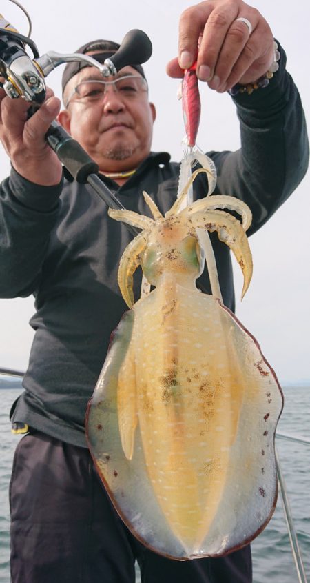 シースナイパー海龍 釣果