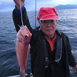 ARCADIAⅡ (アルカディアⅡ) 釣果