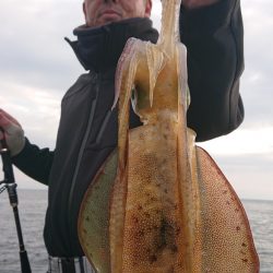 シースナイパー海龍 釣果