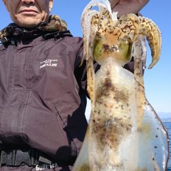 シースナイパー海龍 釣果