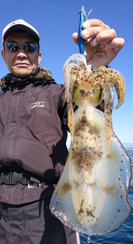シースナイパー海龍 釣果