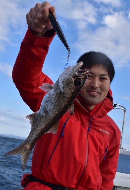 渡船屋たにぐち 釣果