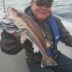 ARCADIAⅡ (アルカディアⅡ) 釣果