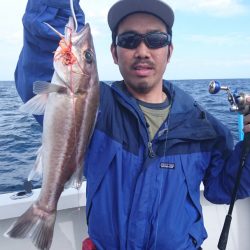 ARCADIAⅡ (アルカディアⅡ) 釣果