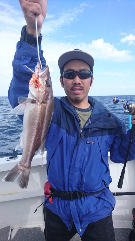 ARCADIAⅡ (アルカディアⅡ) 釣果