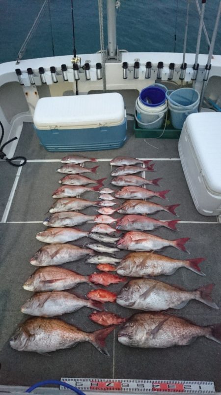 ARCADIAⅡ (アルカディアⅡ) 釣果