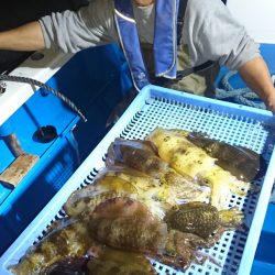 第三共栄丸 釣果