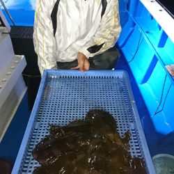 第三共栄丸 釣果