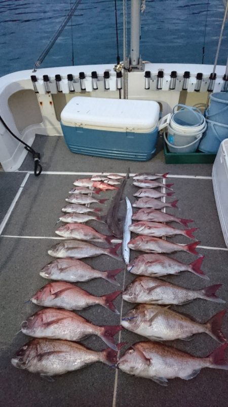 ARCADIAⅡ (アルカディアⅡ) 釣果