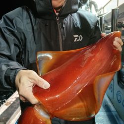 竹宝丸 釣果