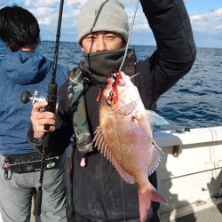 ARCADIAⅡ (アルカディアⅡ) 釣果