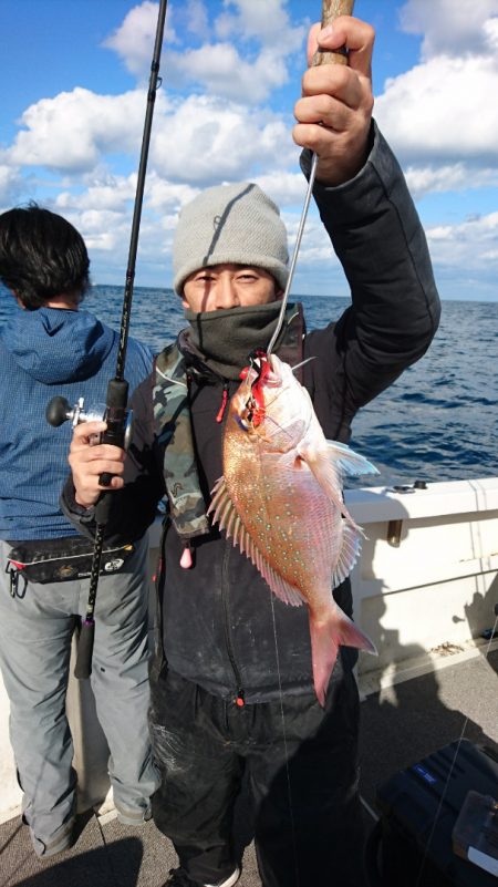 ARCADIAⅡ (アルカディアⅡ) 釣果