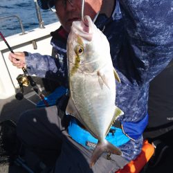 ARCADIAⅡ (アルカディアⅡ) 釣果