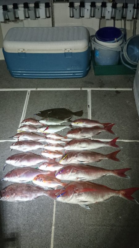 ARCADIAⅡ (アルカディアⅡ) 釣果