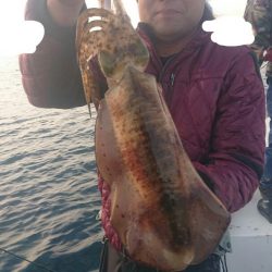 きずなまりん 釣果