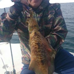 きずなまりん 釣果