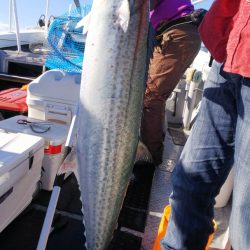 第二龍勢丸 釣果