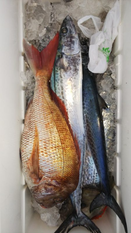 第二龍勢丸 釣果