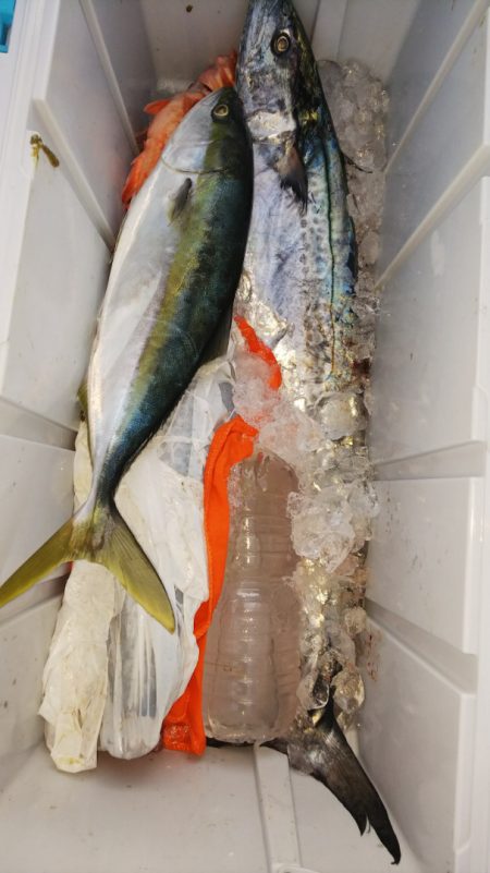 第二龍勢丸 釣果