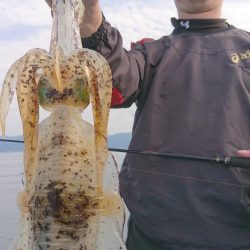 シースナイパー海龍 釣果
