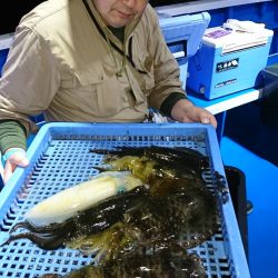 第三共栄丸 釣果