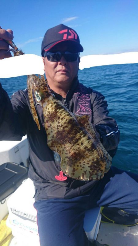 きずなまりん 釣果