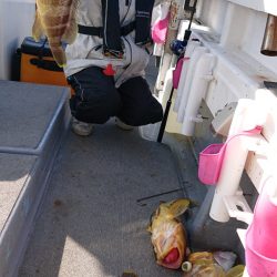海皇丸 釣果