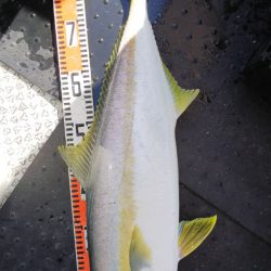 第二龍勢丸 釣果