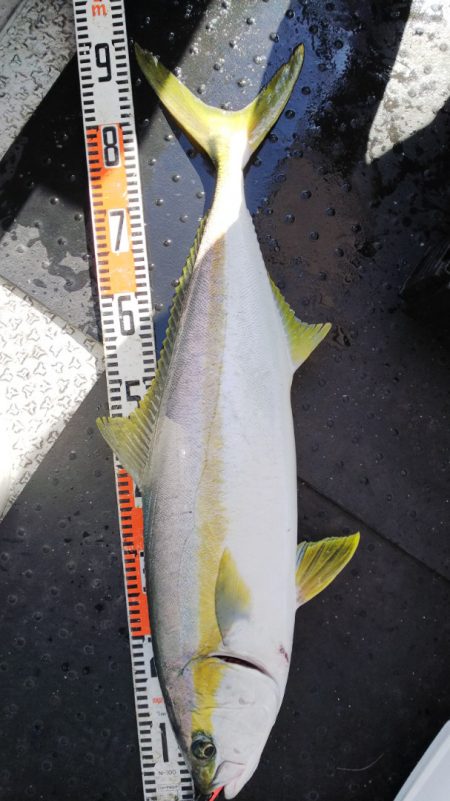 第二龍勢丸 釣果