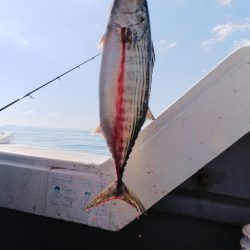 第二龍勢丸 釣果